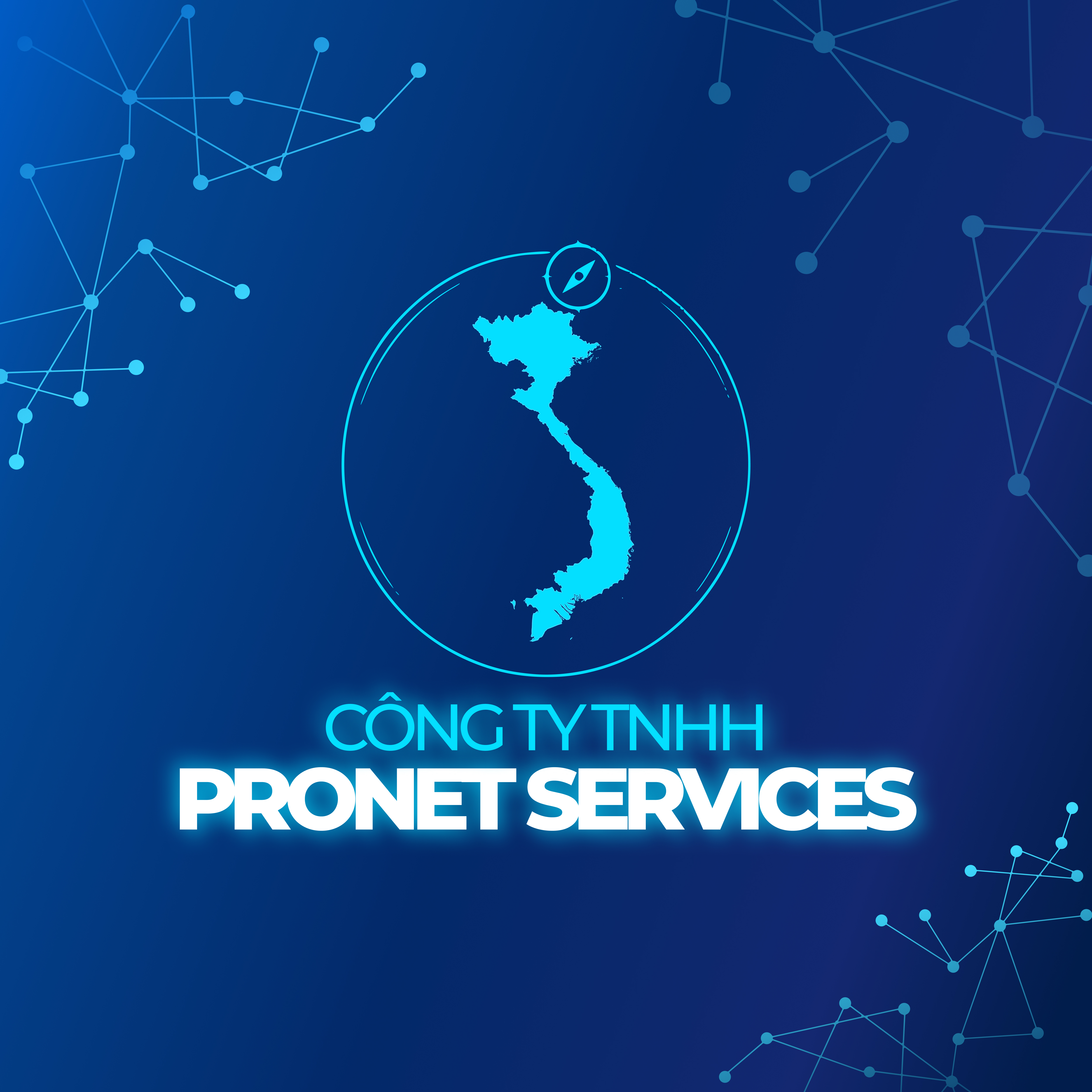 Official PRONET SERVICES brand banner